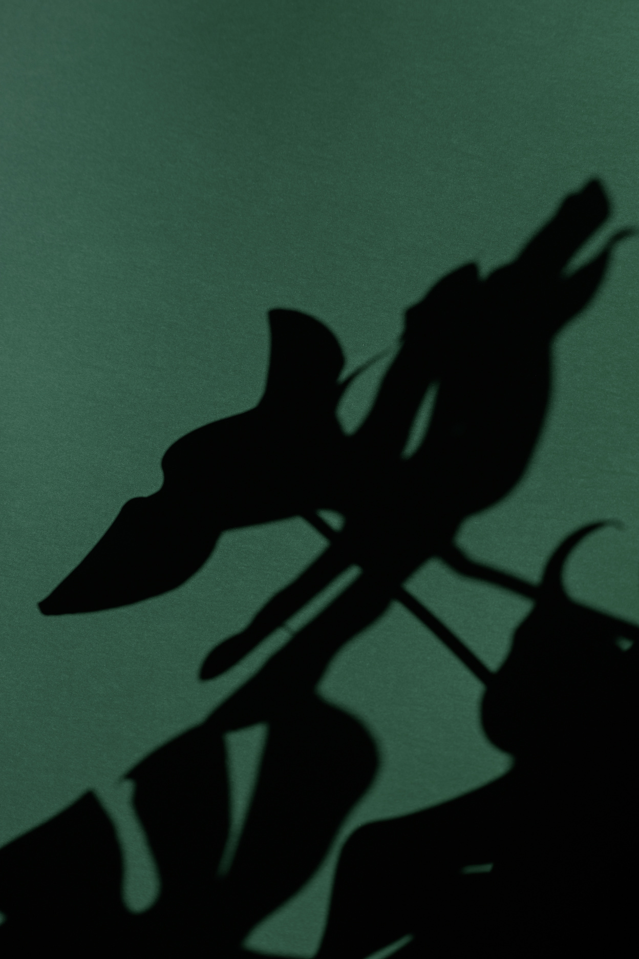 Shadows of Monstera Leaves on Green Background 